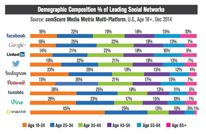 Demographic composition of leading social networks